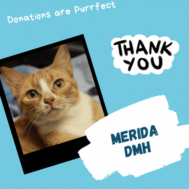 I wuff Donations! (MERIDA).gif