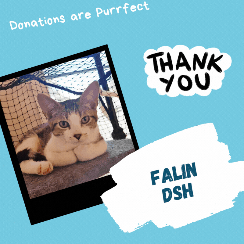 I wuff Donations! (Dinah) (1).gif