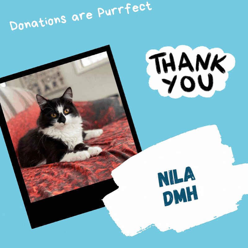I wuff Donations! (MERIDA).gif