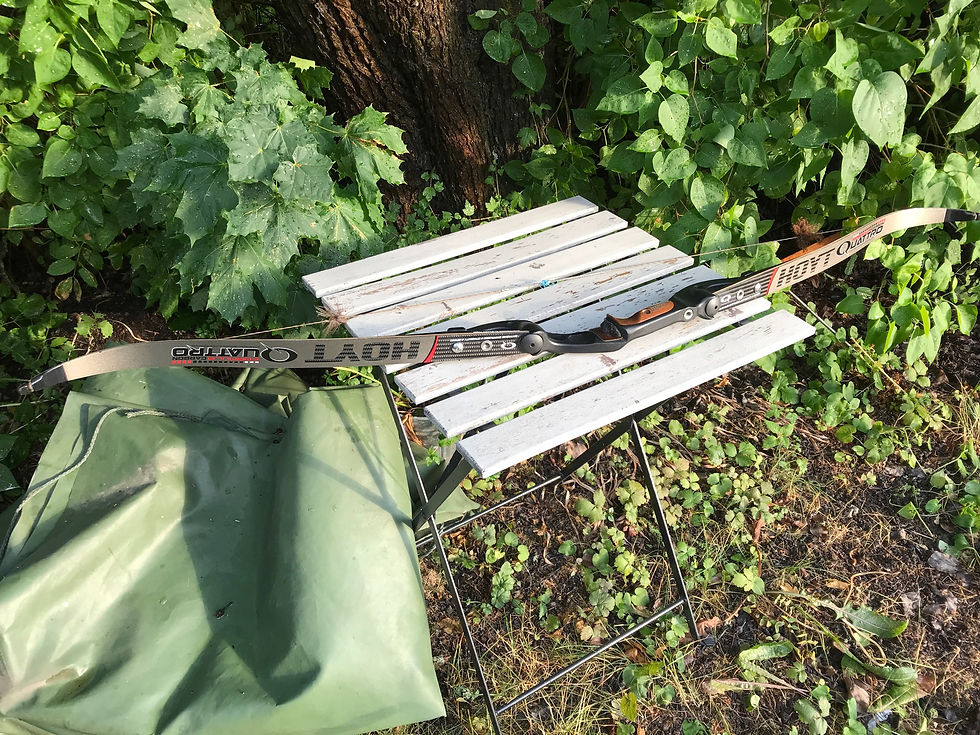 Thumbnail: Hoyt Buffalo Quattro 62" 42#