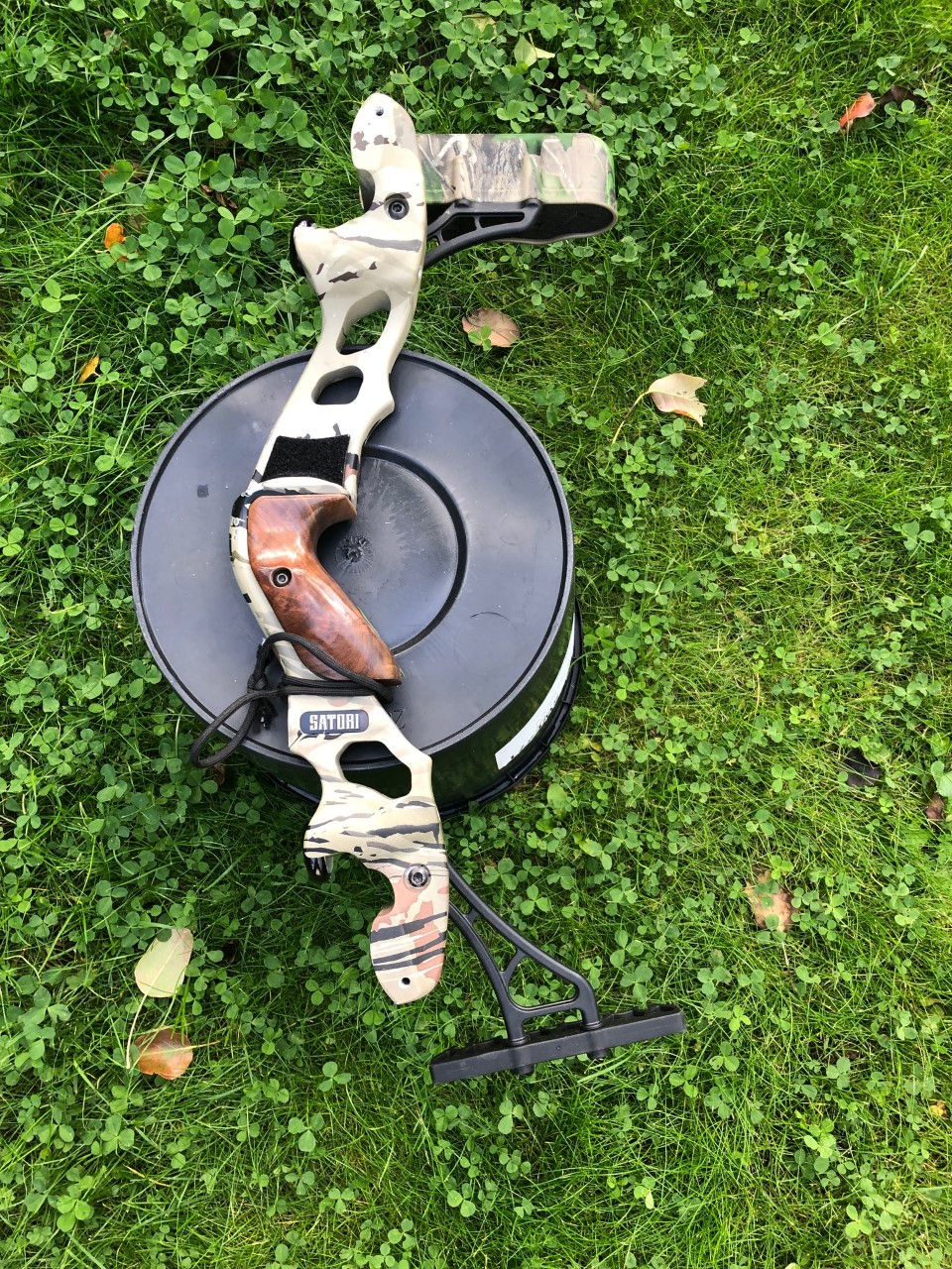 Hoyt Satori ILF 17" w quiver