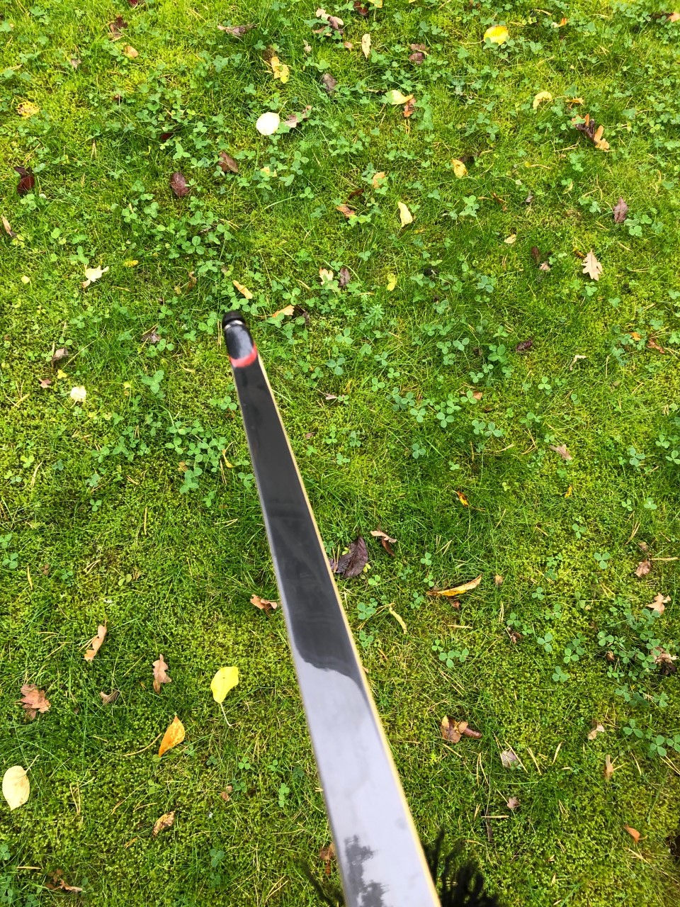 Thumbnail: Blackbrook Sigma cc 66" 51#