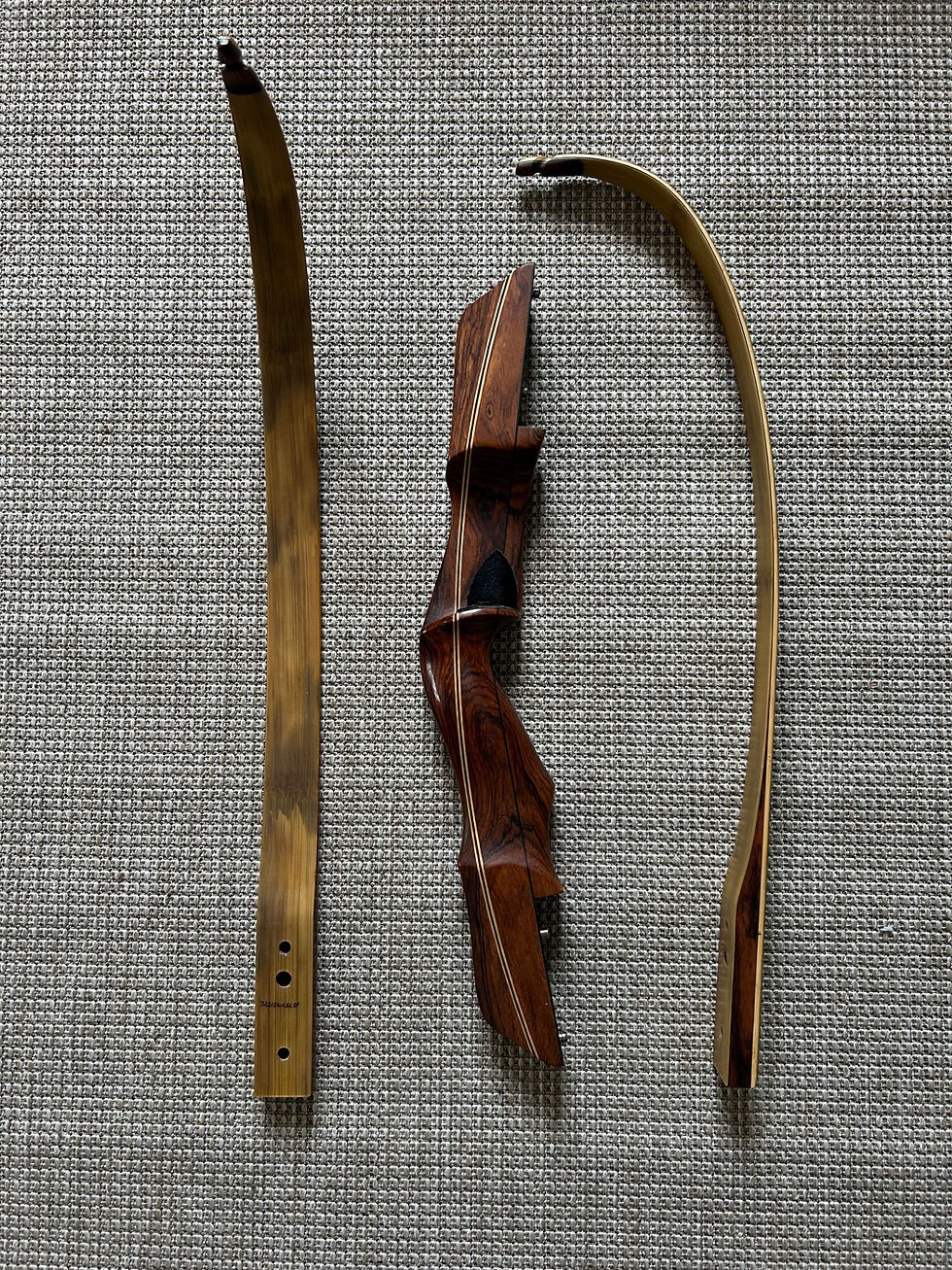 Thumbnail: Hill Country Wildcat SL static 62" 45#