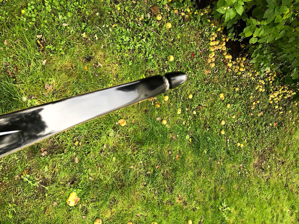Thumbnail: Blackbrook Hawk 64" 44#