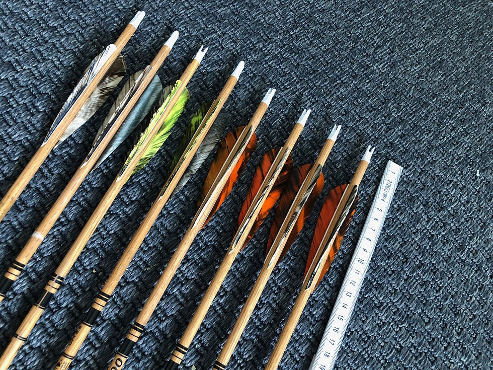 Thumbnail: 8x Goldtip 500 Carbon 3" feathers