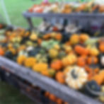 Gourds