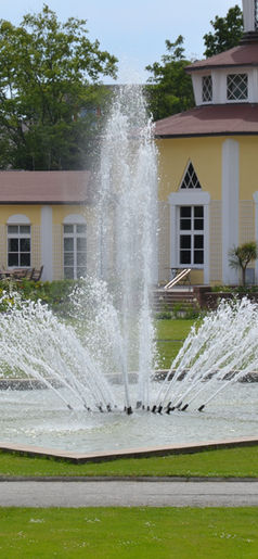 Water Fountain Repair