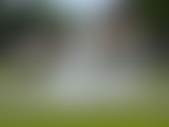 The Magic of Musical Dancing Fountain Display Philippines: Why Master Fountain Leads the Way