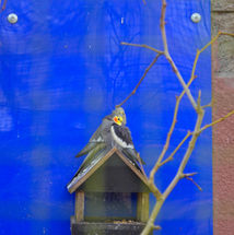 dsc_3668.jpg