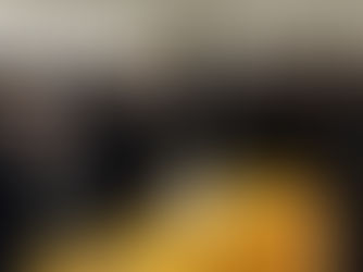 人人平安有幸福 西雅圖分會新春活動報導