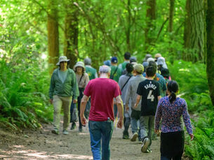 西雅圖分會夏日禪意野餐日 活動報導