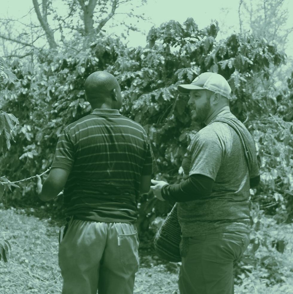 juan2_duotone_palm.JPG