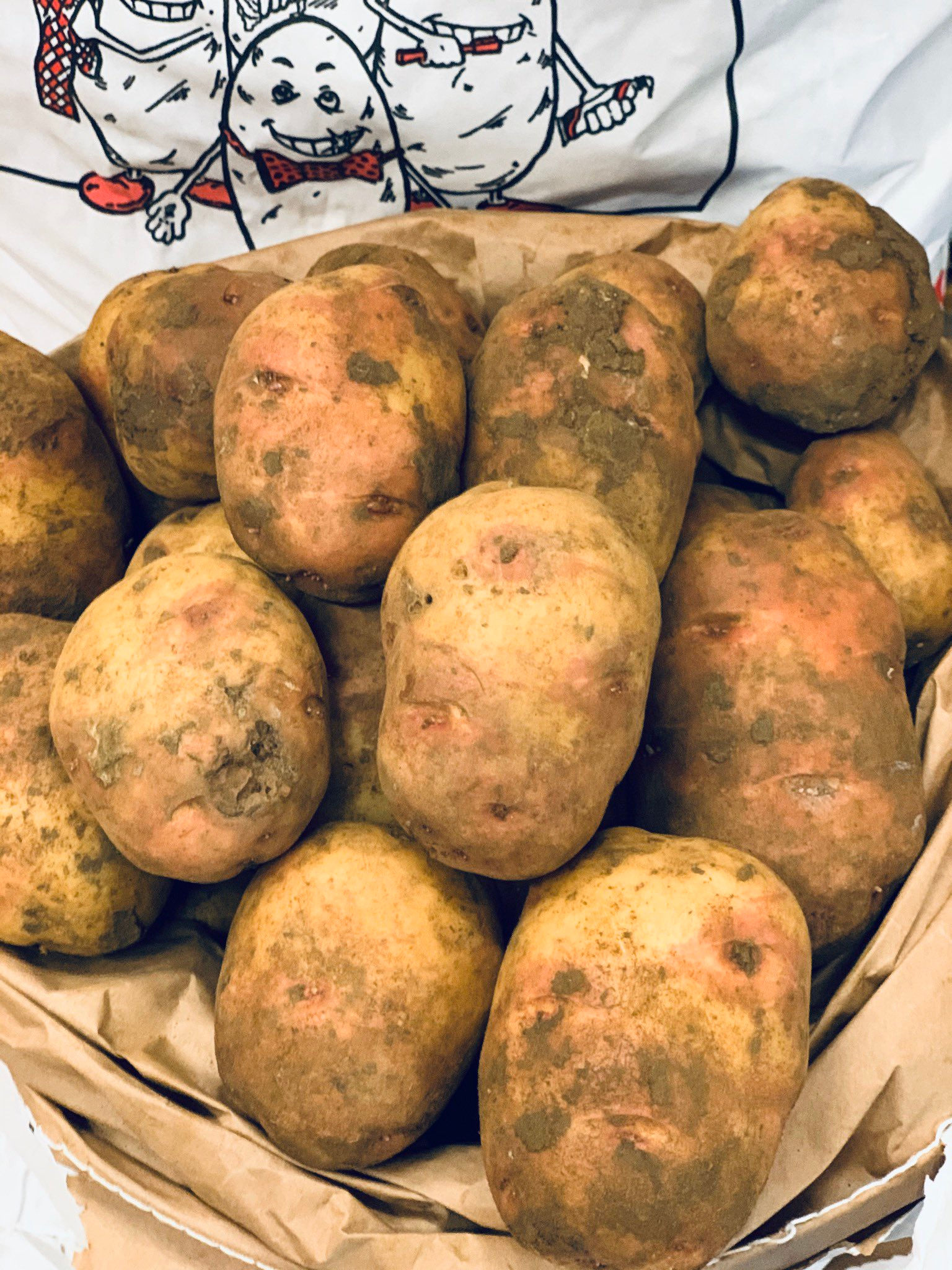 20kg dirty potatoes