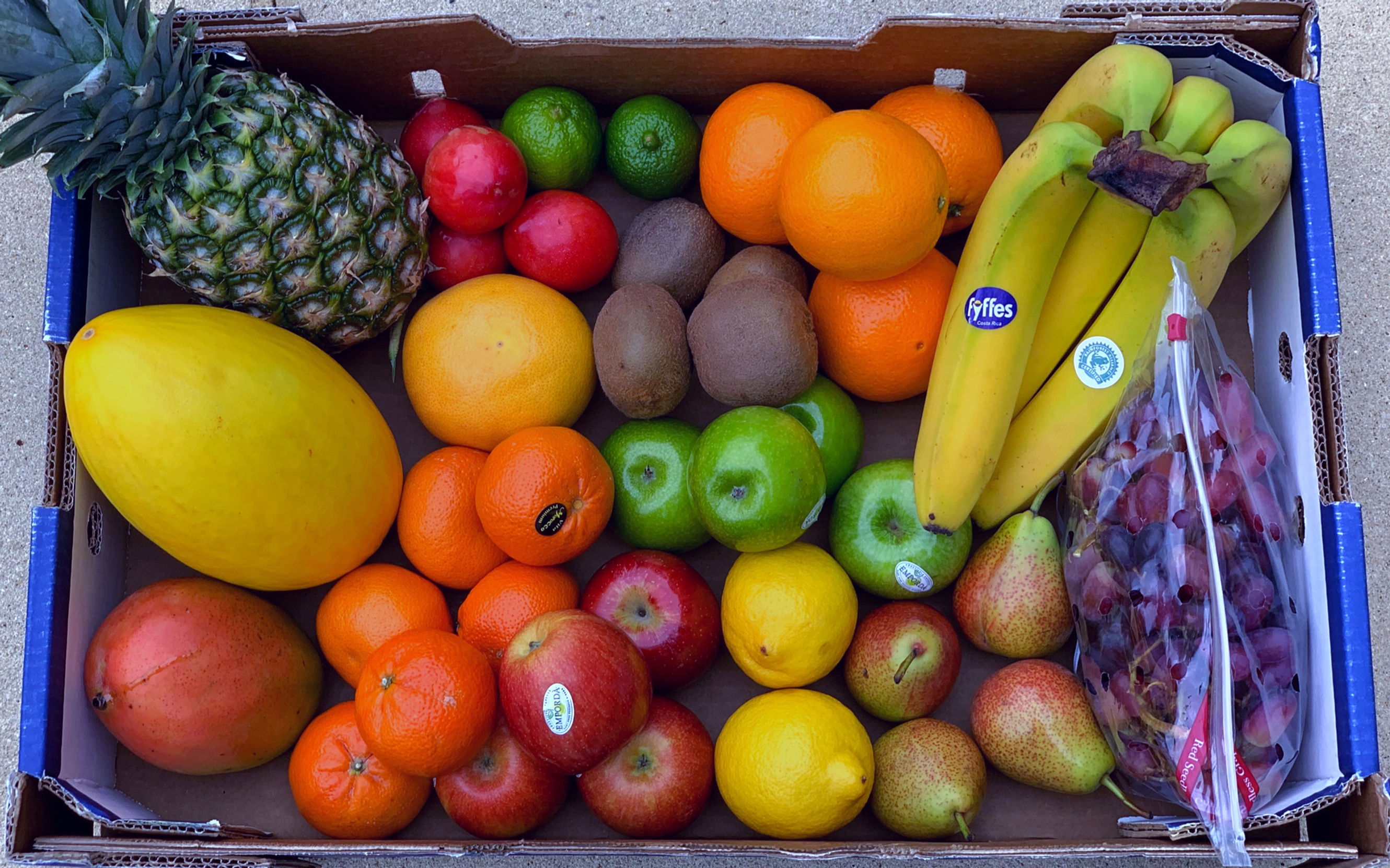 Large Fruit Box