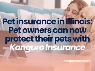 Pet insurance in Illinois: Pet owners can now protect their pets with Kanguro Insurance