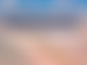 How Much Is Renters Insurance in Florida?