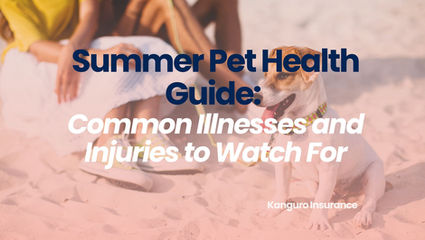 Summer Pet Health Guide