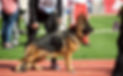 image0 (5).jpeg