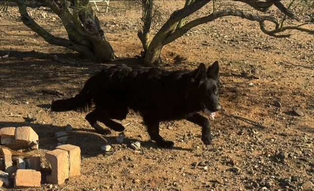 CF3A35CA-3529-4563-9054-BA240A571443