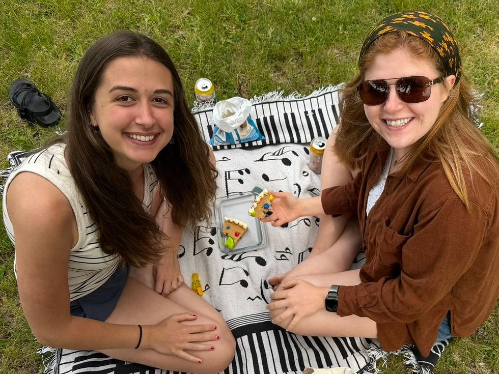 Music themed picnic!
