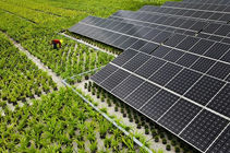 Luce per l’agricoltura !