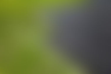 Luce per l’agricoltura !