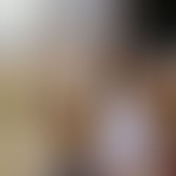 Voyager avec son chien : destinations idéales pour un duo inséparable