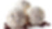 Stracciatella (M)