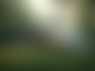 Exploring the Advantages of Dome-Shaped Living