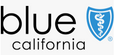 blue shieldd.PNG