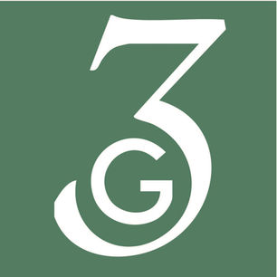 3G logo with a stylized white ‘3’ and ‘G’ on a green background.
