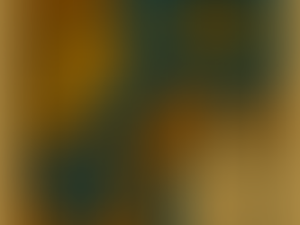 The Violence We Don't See