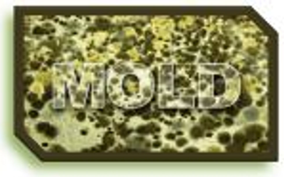 Florida Humidity Bloom Florida Indoor Air Quality Solutions IAQS