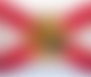 HB 4171 Mold Related Services Repeal