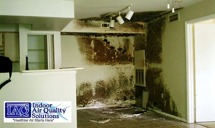 How to Choose a Professional Air Quality Testing Service