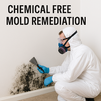 Mold remediation technician in full protective gear removing mold from a residential wall without chemicals, under the bold heading 'Chemical Free Mold Remediation'.