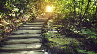 Leadership Lessons Learned Along the Way