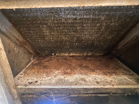 Mold Remediation: Protecting Your Commercial Property