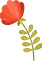 mexican flower