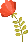 Mexican flower