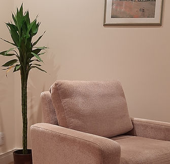 Foto de uma poltrona do consultório, de cor bege e aspecto confortável. Ao seu lado há uma planta verde e acima dela há uma pintura de duas pessoas caminhando em um campo.