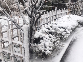 西嶺町の個別指導塾 学習塾【個別指導塾 えん 沼部校】雪の中でもうちの生徒は、意欲的