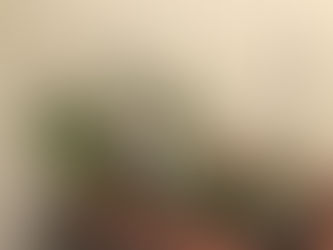 西嶺町の個別指導塾 学習塾【個別指導塾 えん 沼部】食育授業の様子