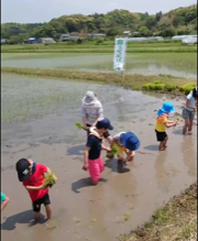 西嶺町の個別指導塾 学習塾【個別指導塾 えん 沼部】今年の田植え体験