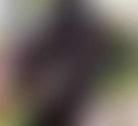 西嶺町の個別指導塾 学習塾【個別指導塾 えん 沼部校】子供たちの畑も成長!!