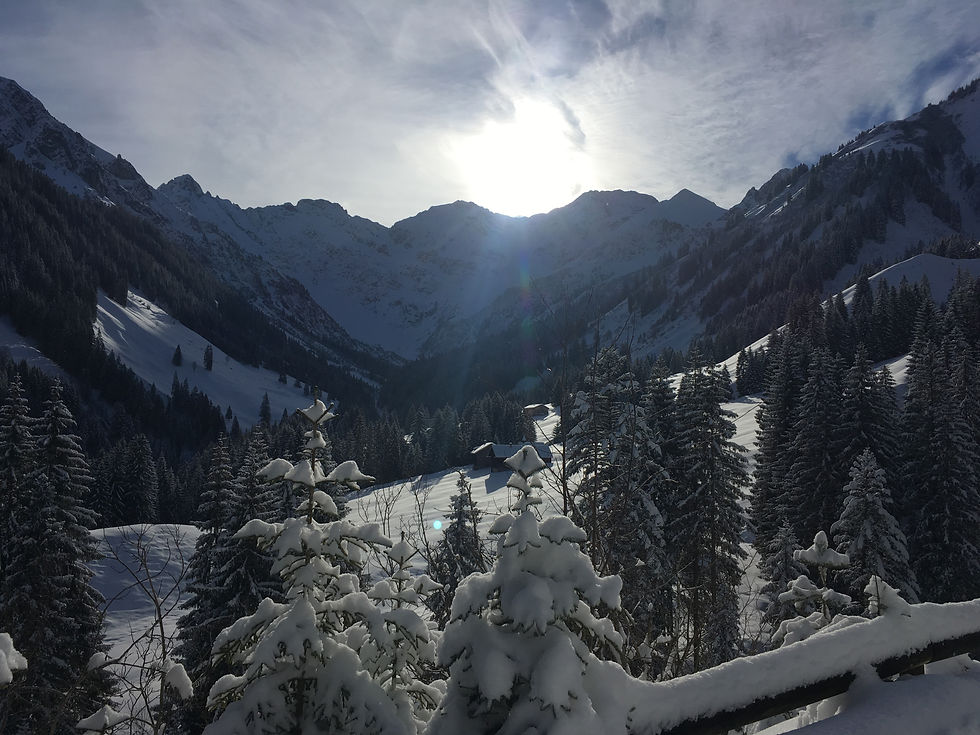 Waldzeit Appartement Schoppernau