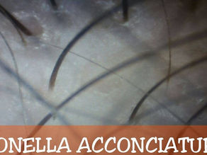 TRATTAMENTO ENERGIA