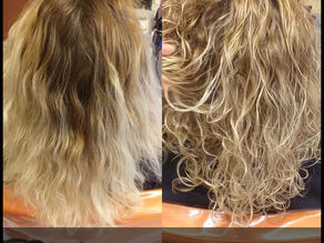 TRATTAMENTO PURBLOND