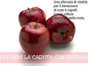 TRATTAMENTO ENERGIA