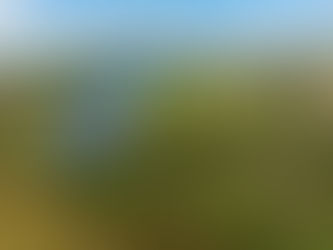 Hasties Swamp National Park with Kevin